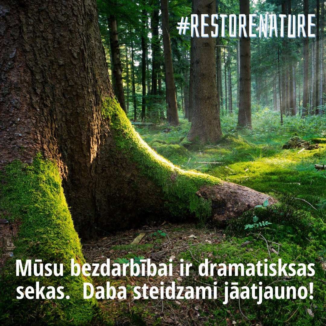 ZalaBriviba's tweet image. Mēs nevaram bez dabas izdzīvot. Dabas atjaunošana nav izvēle. Tā ir nepieciešamība, ja vēlamies nākotni uz šīs planētas.  #RestoreNature #BringBackNature