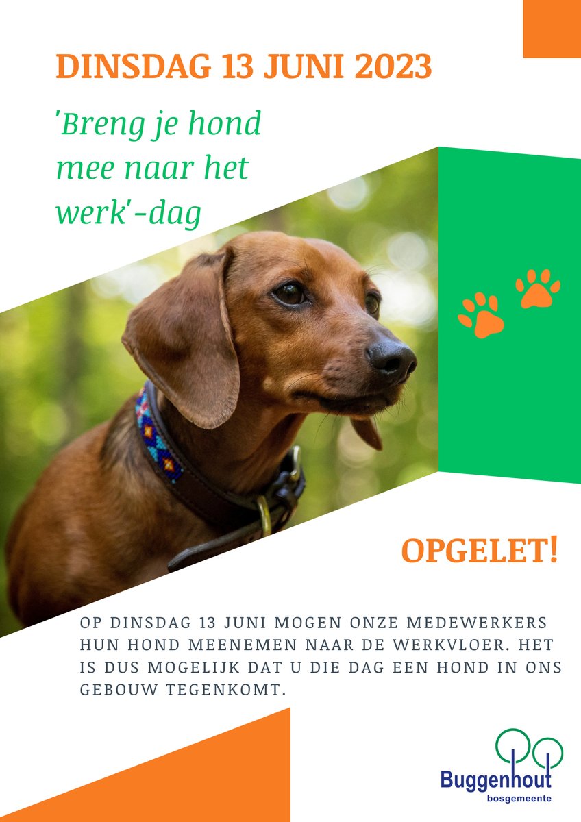 gemBuggenhout's tweet photo. Op dinsdag 13 juni mogen onze medewerkers hun hond meebrengen tijdens de 'breng je hond mee naar het werk'-dag! Die dag kan je dus een hond in één van onze gebouwen tegenkomen #buggenhout #honden #brengjehondmeenaarhetwerk https://t.co/r92F2HhipM