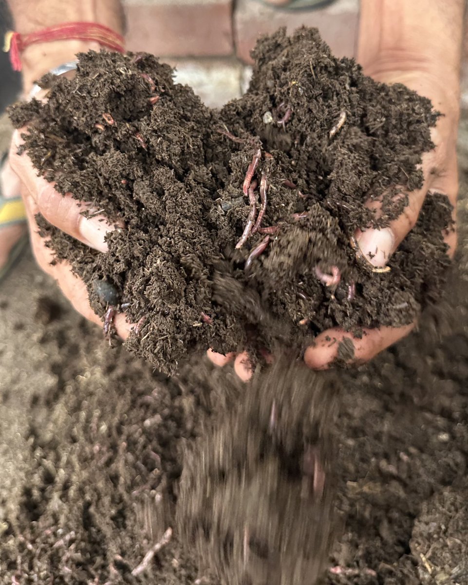 Living Soil is a complex food web, teeming with life.  One cubic meter can hold 5,000 earthworms, 50,000 & 12 million roundworms.  This life in the soil is what rejuvenates soil fertility, and makes nutrients available to plants to support our agriculture. @drvandanashiva
