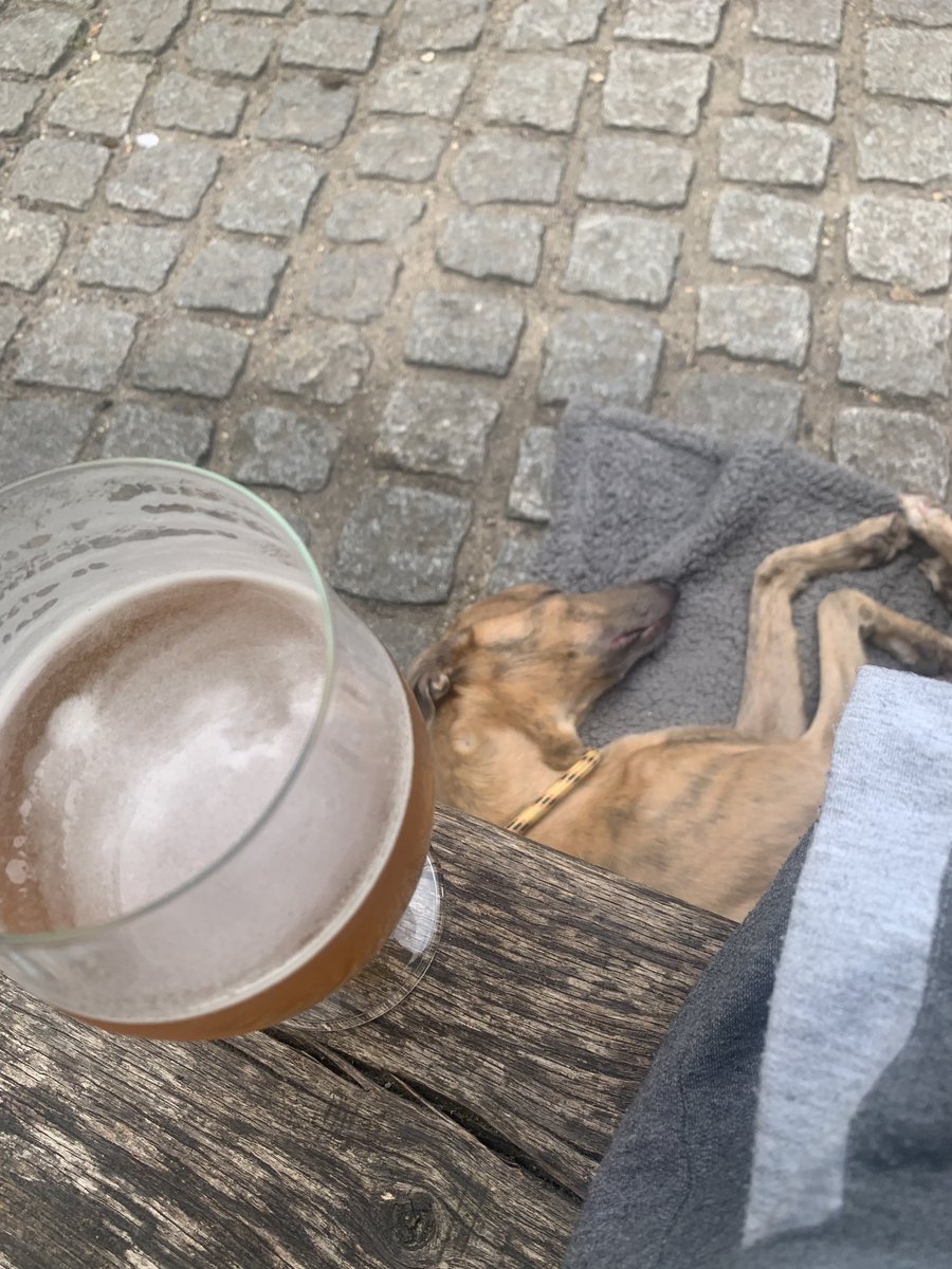 liamnorrisblstk's tweet image. Enjoying a quiet pint ⁦@LymeRegisBrew⁩ superbly brewed pint in lovely court yard setting. Cash has settled in nicely.