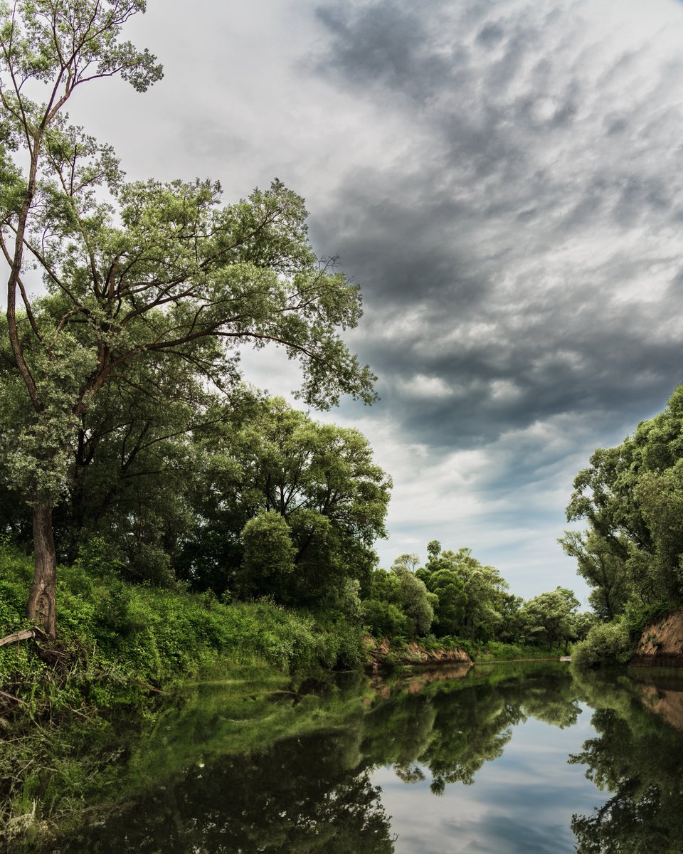 Після грози настала тиша, що здавалася майже надприродною
#MagicalMoments #StormSilence #NaturalBeauty #MirrorLikeWater #RaindropBliss #VibrantFoliage #CaptivatingScene #nature