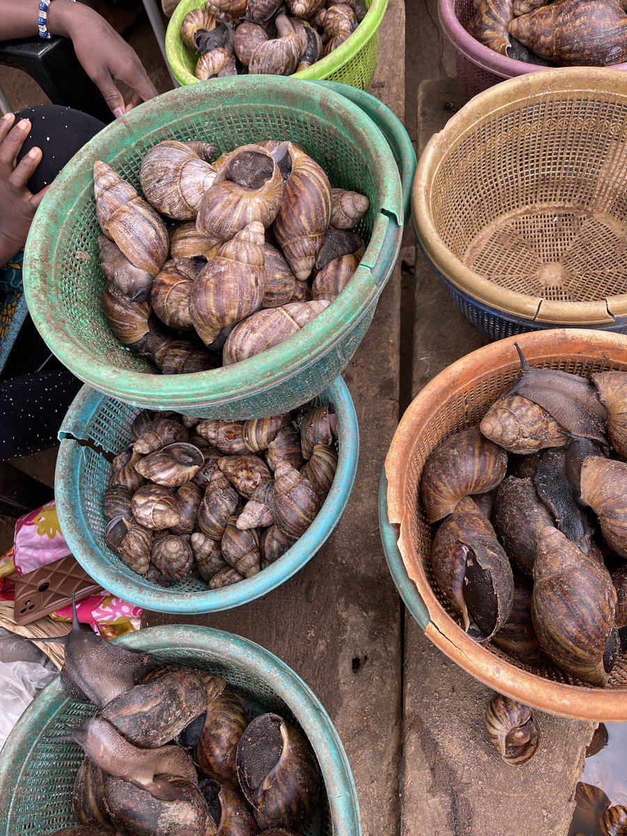 Inside_Ilorin on Twitter "RT tinugrills In the snail market now! Send in your orders. All