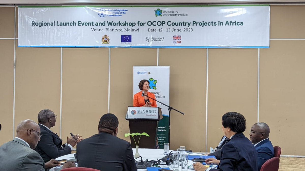 #HappeningNow – the regional launch event of #1Country1Product country projects.

<a href="/FAO/">Food and Agriculture Organization</a> Deputy Director-General <a href="/BethBechdol/">Beth Bechdol</a> spoke about the need to transform the way we produce food and pointed out that #Malawi 🇲🇼has a huge opportunity to elevate banana production.