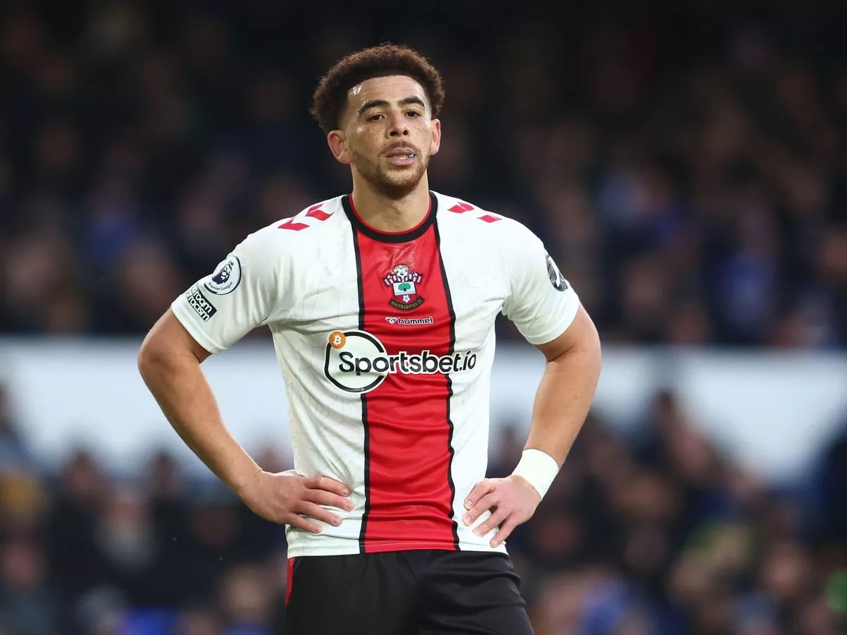 🗞🚨 Burnley are eyeing a move for Southampton striker Che Adams to boost their attack next season

[@TEAMtalk]

#twitterclarets
