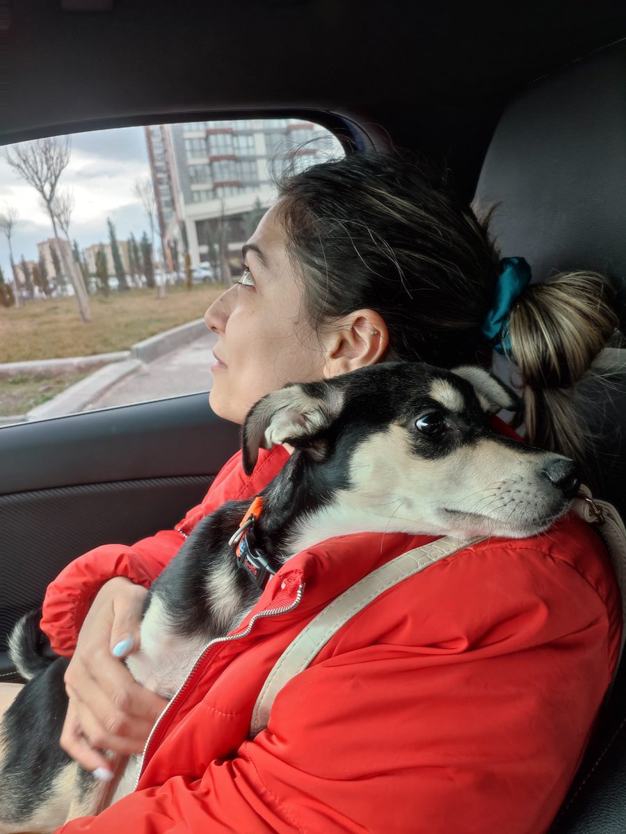 Nasıl başladı           Nasıl devam ediyor