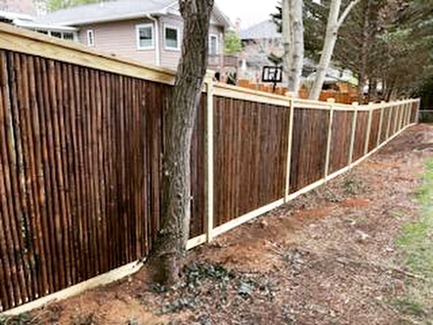 ✈️The sky's the limit with a custom fence. Let us help you find your dream fence!
ashevillefence.com/custom-fences
#customfencing #fencedesigns #homefence #yardfence #creativefence #freeestimates #avlfence