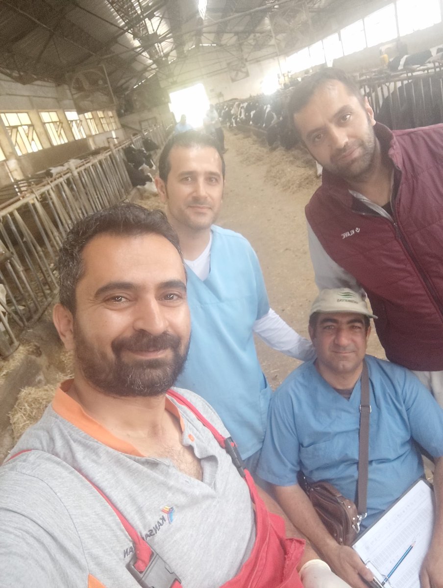 Osman Süsoy (@osmanssoy) on Twitter photo 