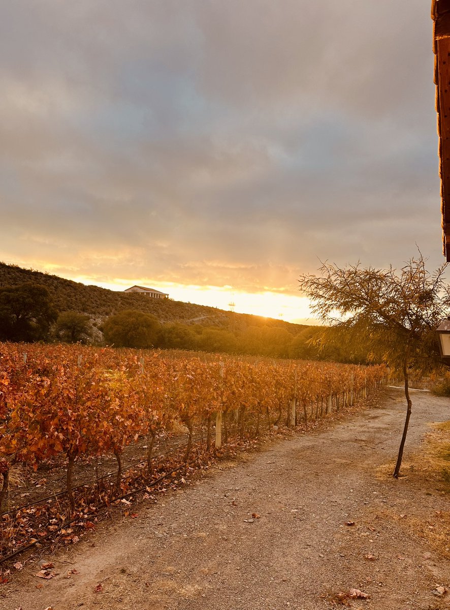 “Amar y Vivir”❤️🍷