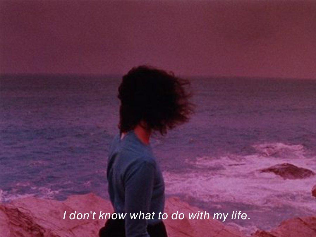 Novelle art. tweet media