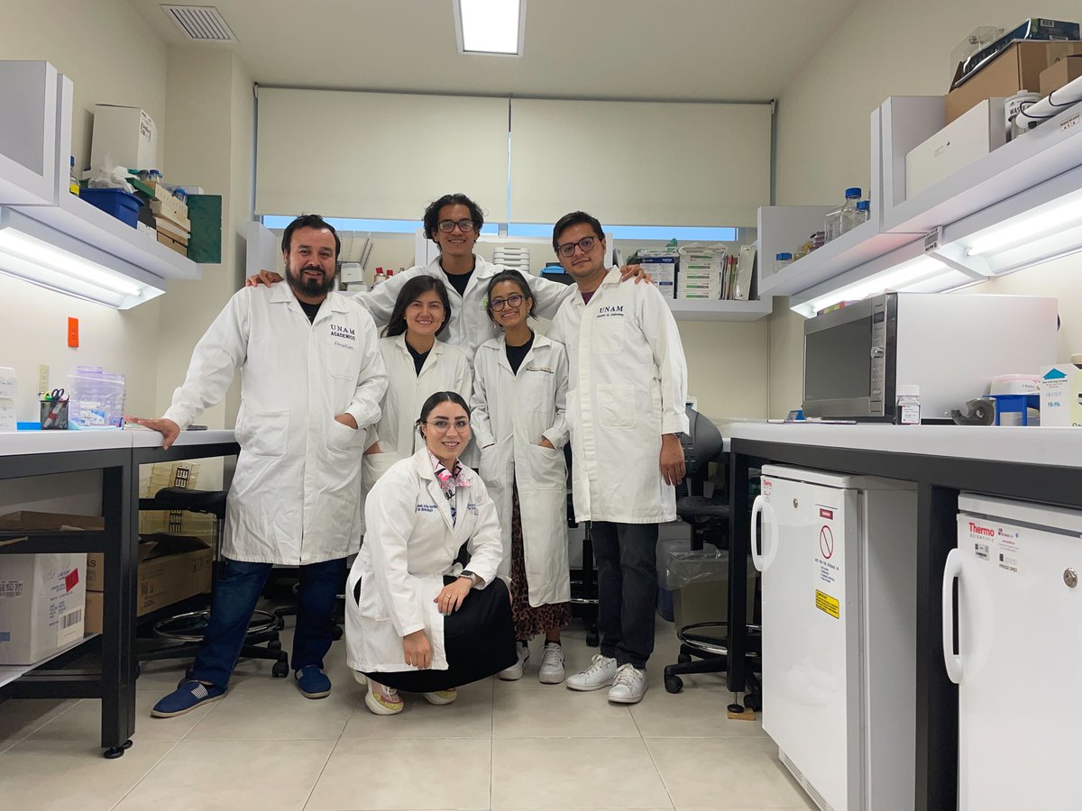 daniela_oaks's tweet image. Our team @LIIGH_UNAM is ready to start today the 2nd #SummerSchool on Introduction to #genome sciences, including wet &amp;amp; dry lab techniques! Thanks to @Christian_moli_ @FerArriaga_09 @itzel_galguera @jessicagarrr &amp;amp; @Estradajr_23 for helping train the next generation of scientists!