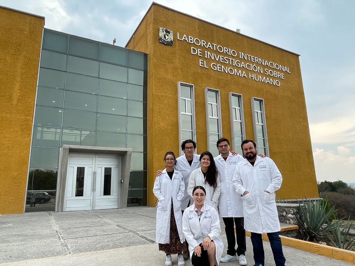 daniela_oaks's tweet image. Our team @LIIGH_UNAM is ready to start today the 2nd #SummerSchool on Introduction to #genome sciences, including wet &amp;amp; dry lab techniques! Thanks to @Christian_moli_ @FerArriaga_09 @itzel_galguera @jessicagarrr &amp;amp; @Estradajr_23 for helping train the next generation of scientists!