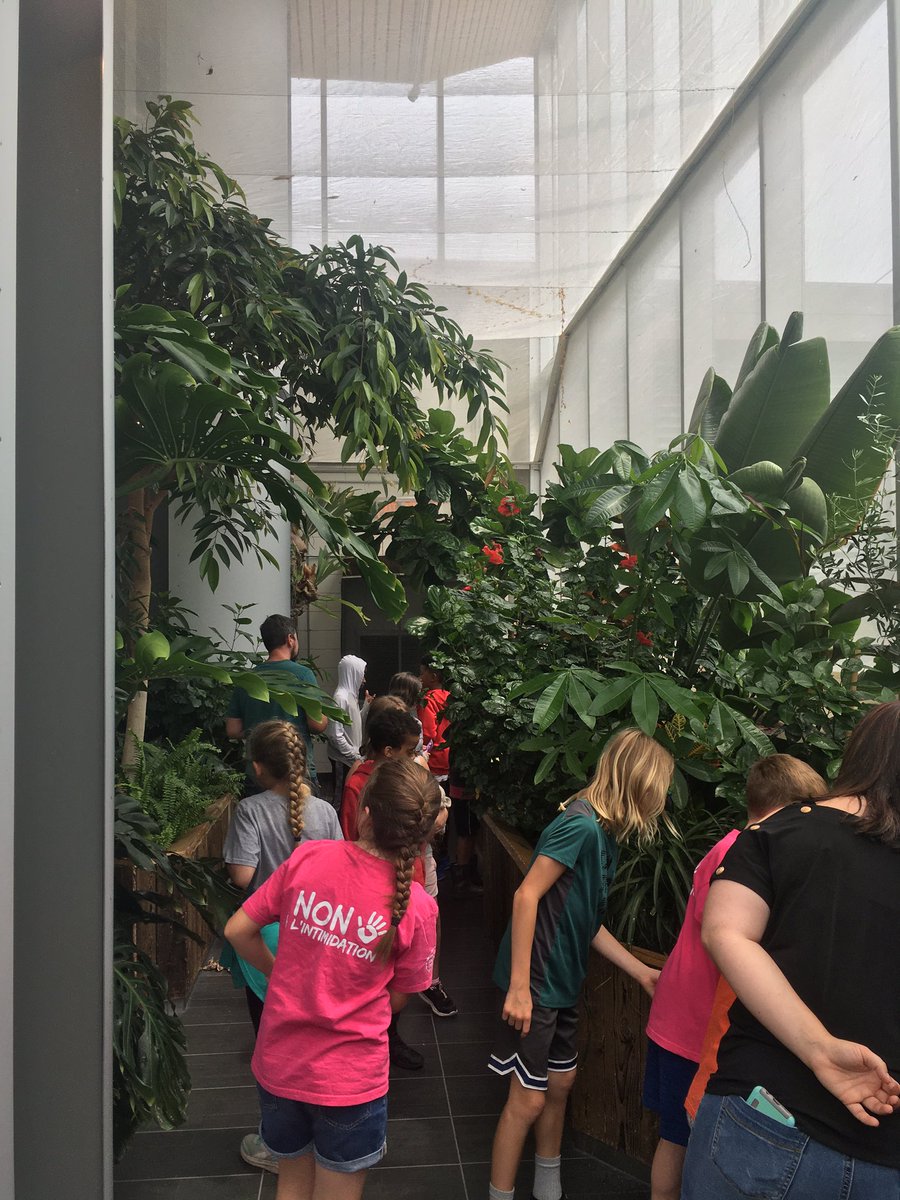 MrPoutineMPB's tweet image. 5e année au musée de la nature!!! @MPaulBaxterOCSB