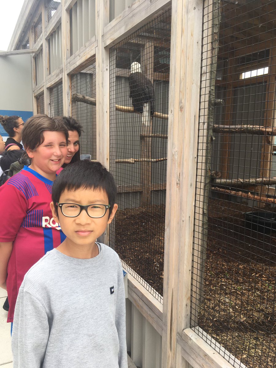 MrPoutineMPB's tweet image. 5e année au musée de la nature!!! @MPaulBaxterOCSB