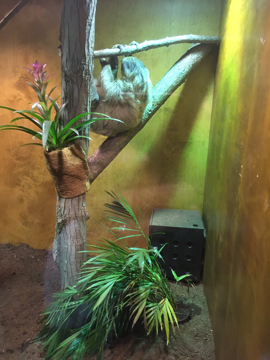 MrPoutineMPB's tweet image. 5e année au musée de la nature!!! @MPaulBaxterOCSB