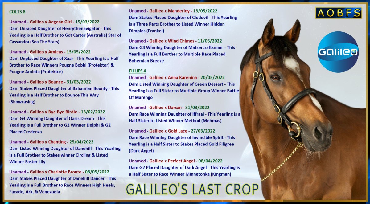 Galileo's Final Ever Crop who will begin their careers in 2024 and there are only 12 of them praying one will become a star