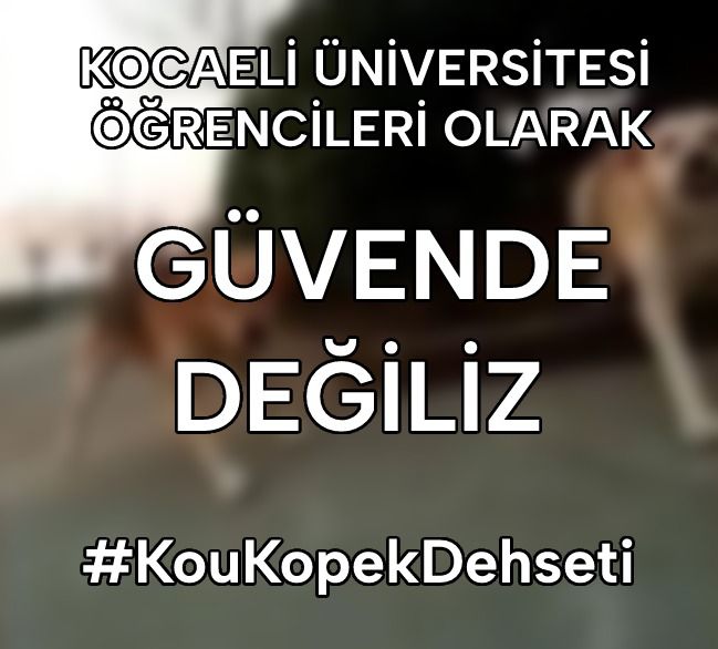 bitkicayisever's tweet photo. #KouKopekDehseti Bu sorun hayati bir tehlikedir. Kampüsteki ve hastanedeki köpeklerin toplatılması gerek. Hem öğrencilerin hem de hastanede yatan hastalar güvenli bir ortamı hak ediyor. Bu süreç sonuca varana ve hak ettiğimiz güvenli ortama ulaşana kadar durmayacağız. https://t.co/RzgzMyxtLr
