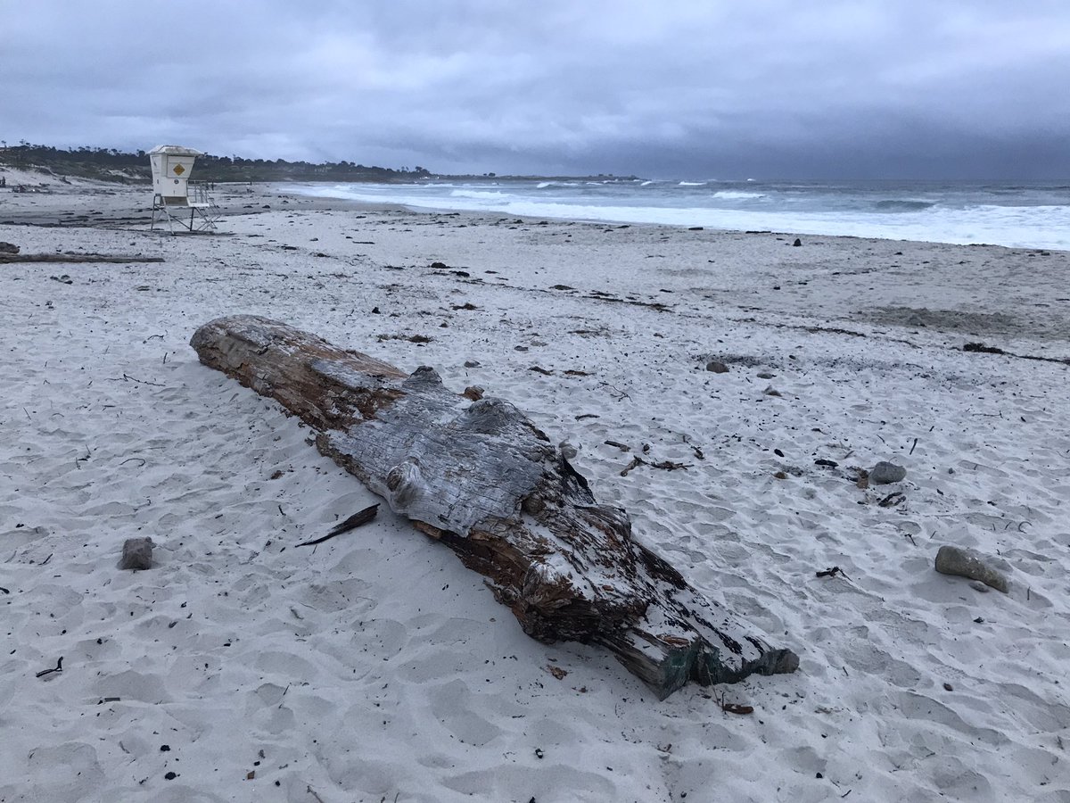 CHKChen's tweet photo. Here for the Solar Wind 16 meeting at Asilomar, location of the SW2&3 meetings. Today begins with a summary of past solar wind meetings from Marcia Neugebauer. #solarwind16 #sw16 https://t.co/WzQOnYPuUa
