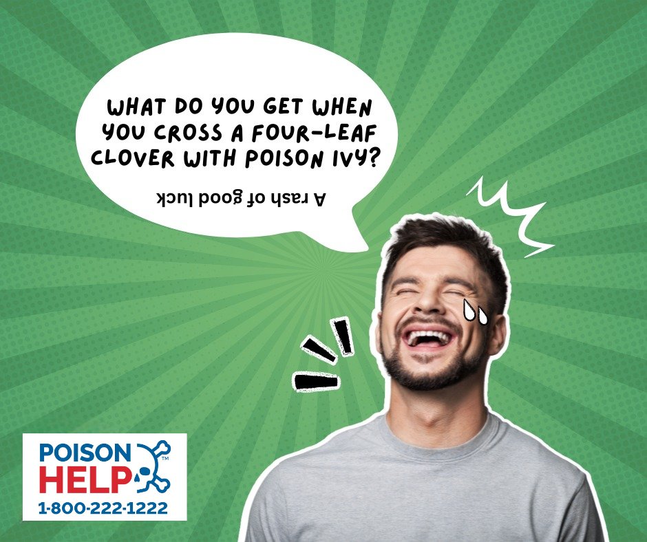 Poison ivy is no laughing matter!

📞Call the Poison Helpline at 1-800-222-1222📞

#poisonivy #poisonprevention #rashrelief #poisonhelp