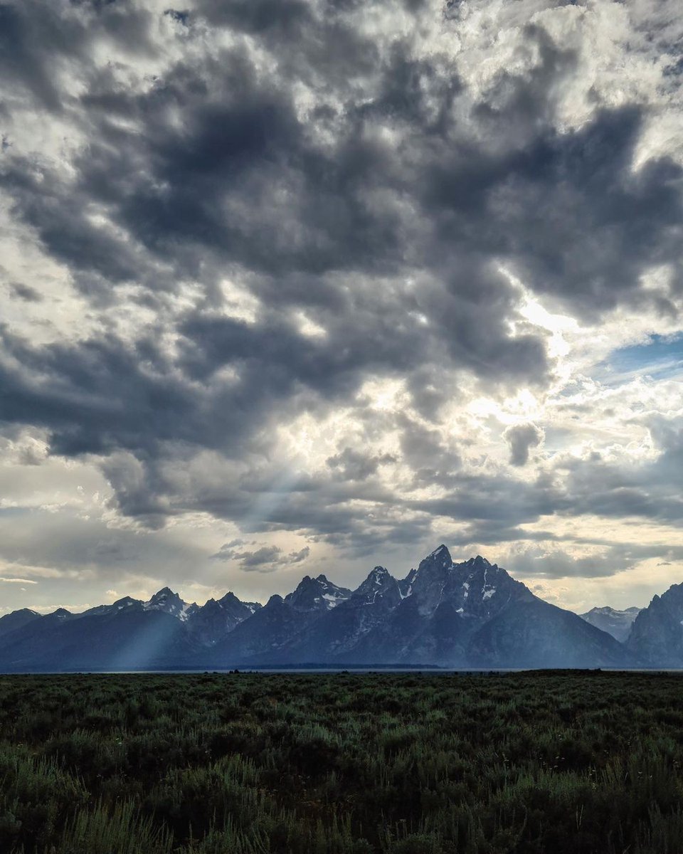jimkchin's tweet photo. Happy place. https://t.co/RGasWWl9yu