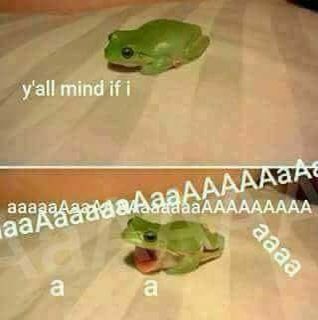 5SOS FUNNY MOMENTS (@funny5s0s) on Twitter photo 