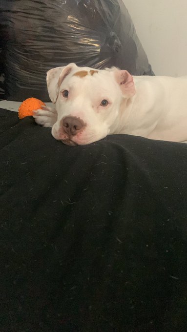 😍 https://t.co/clTJ0CPiuT<a href="/tag/casablanca"class="tags"><span>#casablanca</span></a><a href="/tag/anonymous"class="tags"><span>#anonymous</span></a>