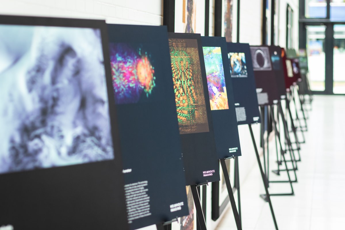 Are you in Berlin tomorrow for the Long Night of Science? Then don't miss our Best Scientific Images 2022 exhibit @MDC_Berlin! Discover the outstanding portfolio of @helmholtz_en in #imaging!

@LNDWBerlin
#HIbestimage22 #imagingscience #LNDW23 #mdcBerlin

Image: ©Felix Petermann