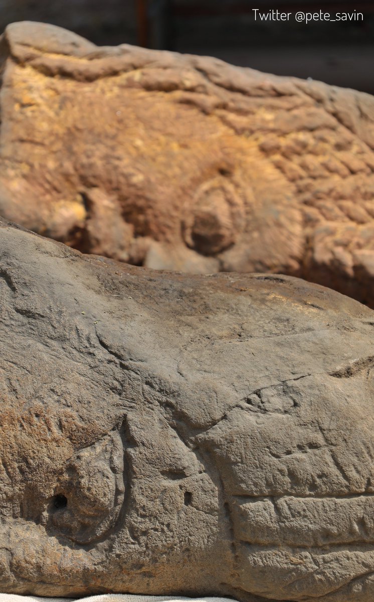 Pete Savin tweet media