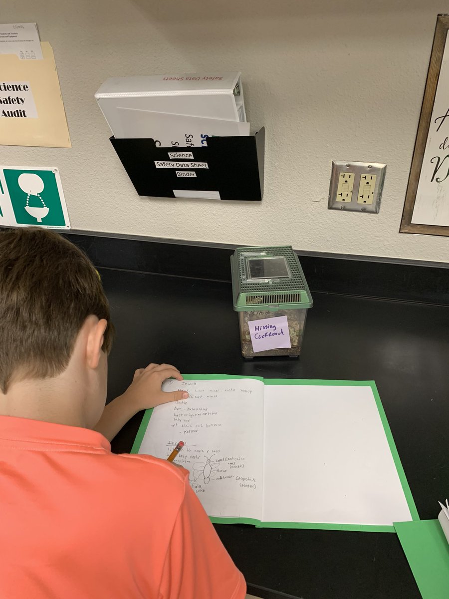 teacherswilson's tweet image. #planoisdproud
#pisdpoweredbylearning
3rd grade SIGS Life Science class is getting “bugged” as they learn to identify if organisms are an insect or not.