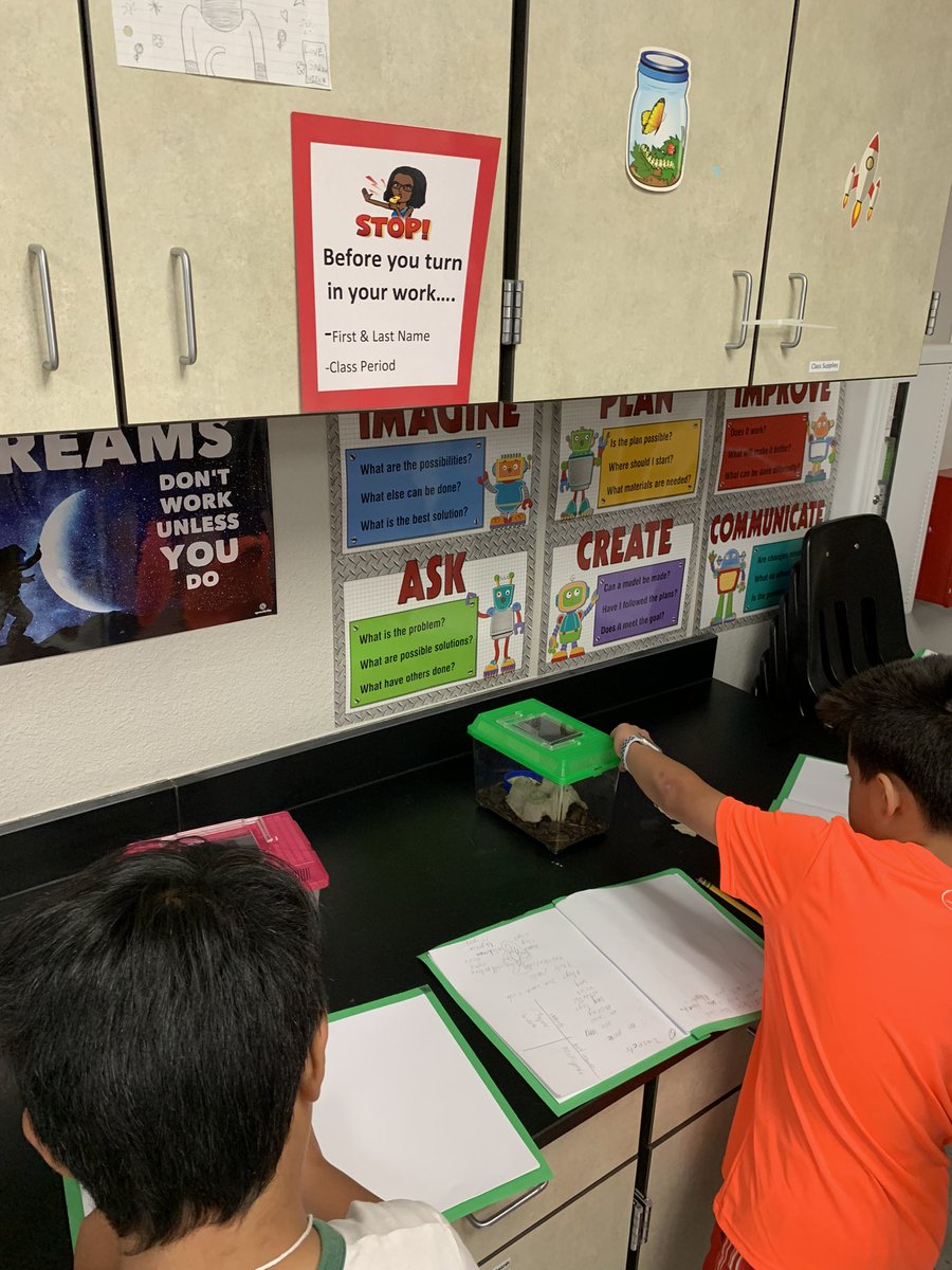 teacherswilson's tweet image. #planoisdproud
#pisdpoweredbylearning
3rd grade SIGS Life Science class is getting “bugged” as they learn to identify if organisms are an insect or not.