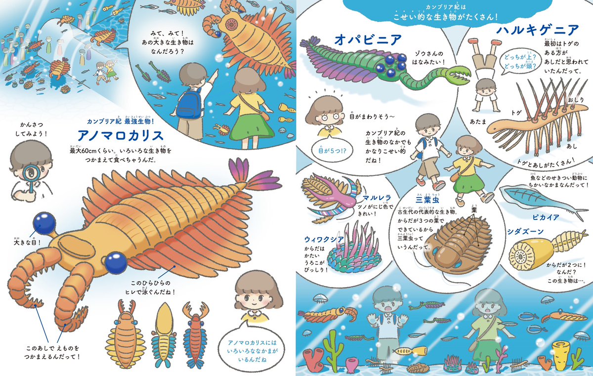 時代ごとによる古生物の解説付きです👀 無顎類以外にも魅力的な古生物ってほんとにいっぱいいるので沢山の人に届いてほしい〜! #古生代水族館