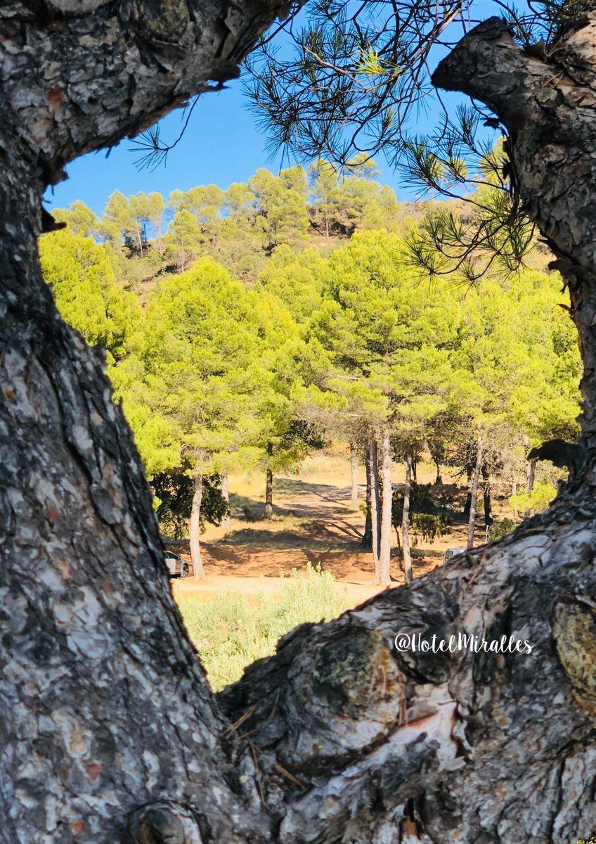 ¿Habéis visitado Horta de Sant Joan en primavera y verano? Es preciosa la mires desde donde la mires. Fotos bonitas de clientes bonitos. 😌🌳 hotelmiralles.com #HotelMiralles #TerraAlta #hortadesantjoan #RuralTerraAlta