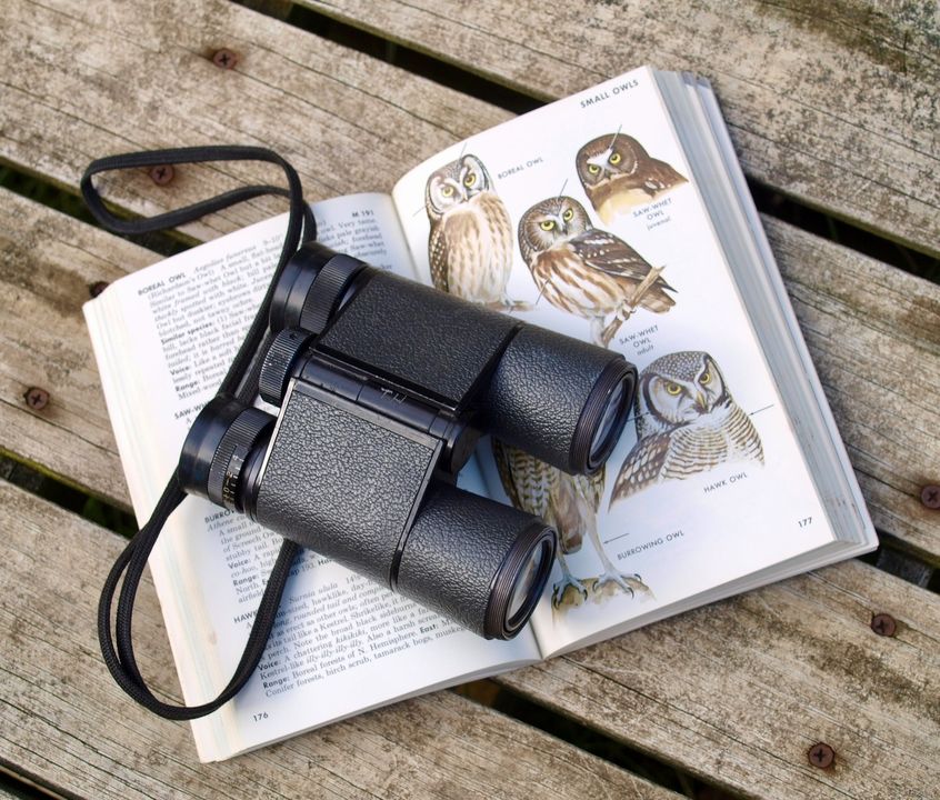 This Saturday, join us for a morning of birdwatching with Banff Community Bird Walk, in celebration of our upcoming summer exhibition For the Birds - opening this Friday! 

Learn more and RSVP for this free, self-guided walk at whyte.org/events 🗓️