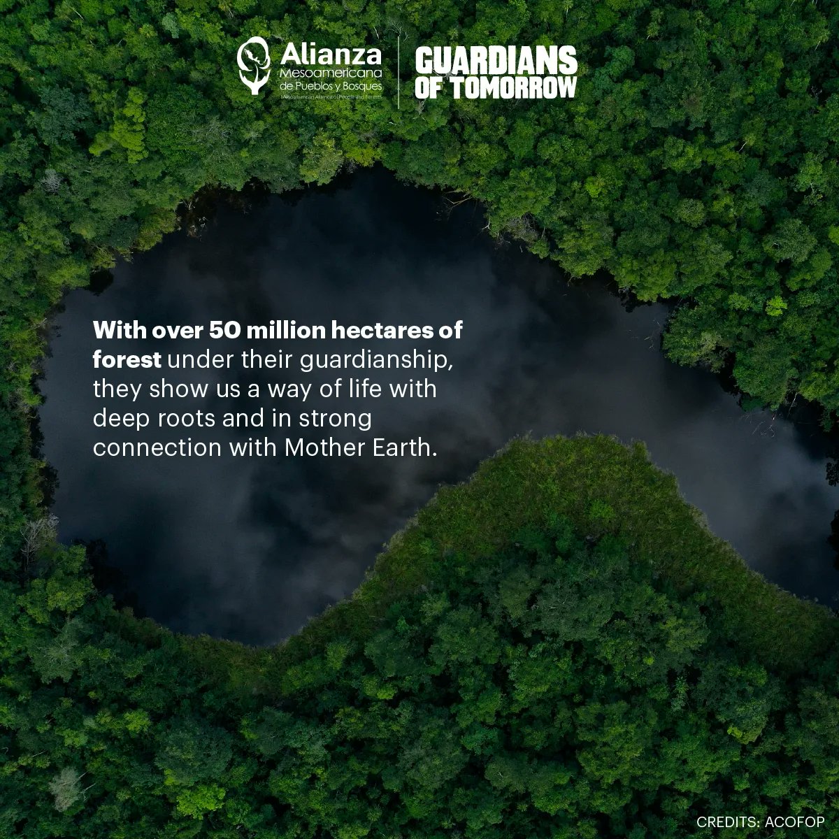GofTomorrow's tweet photo. 👀 The first Mesoamerican Climate Week will hold powerful conversations, putting the highlight where it's urgently needed: Indigenous and local communities protecting Mother Earth.🌎☝🏿

Help their voices reach new heights: go follow @globalalliancet and @alianzabosques. ❤️ https://t.co/OkDGoFajLb