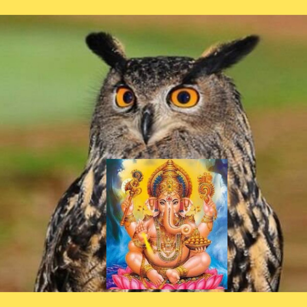 Arquétipos de estudos da semana, grupo Elementos de Gaia 🌀 Coruja: sabedoria, atenção, visão periférica. Ganesha vence obstáculos financeiros e trás prosperidade.