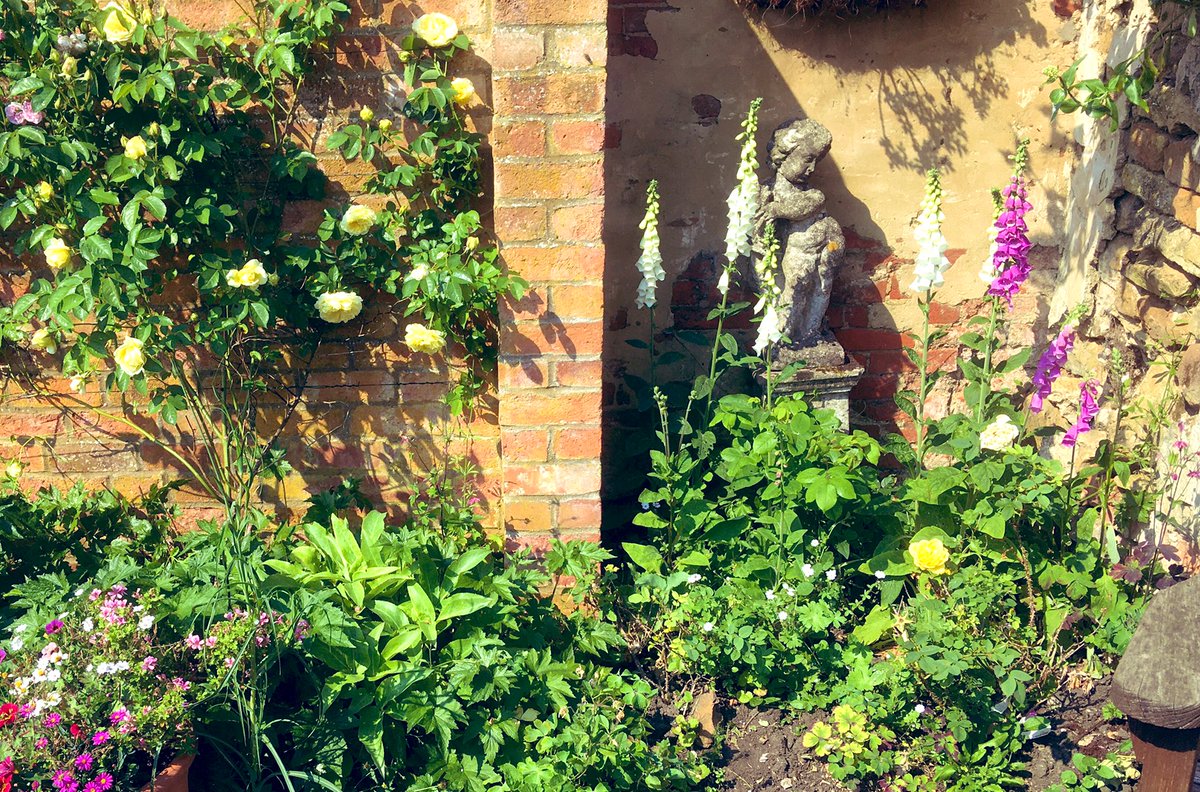 This is my new little area …. It was just an empty space …. So I moved self set foxgloves from the veg plot and I found the cherub lying broken in the undergrowth… a couple of months later and I’m really pleased with it 🥰