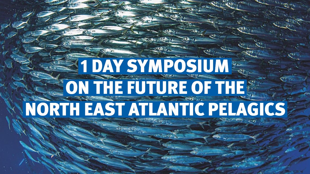 Interested in the future of the NEA pelagic stocks of mackerel, blue whiting &amp; Atlanto-scandian herring?

Come to our 1-day symposium on the adoption of long-term management plans:
📅 Wed 21 Jun
🕙10:00-16:00 BST
📍 London
🎫 FREE

#SustainableFishing🔗bit.ly/3J9lvuR