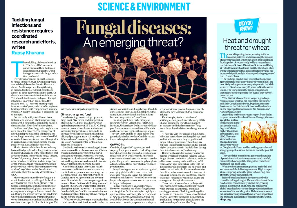 Here is the print version too. Always love the prints.
#scicomm #writing #sciencewriting #fungi #emerging #infectiousdiseases