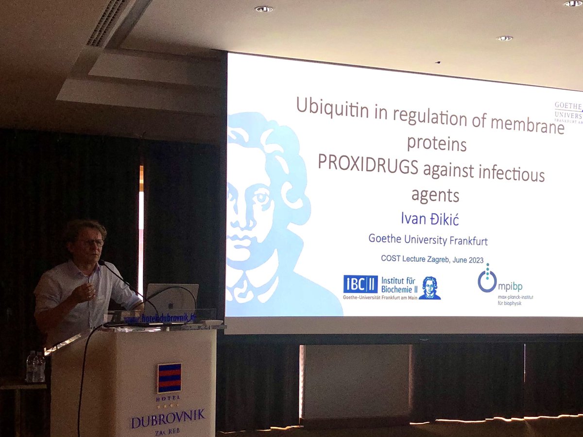 iLetiP's tweet photo. Grateful to have @iDikic2 as @ProteoCure Keynote speaker at our 2nd annual meeting, here in his hometown, Zagreb! https://t.co/FcQ8KGMlMZ