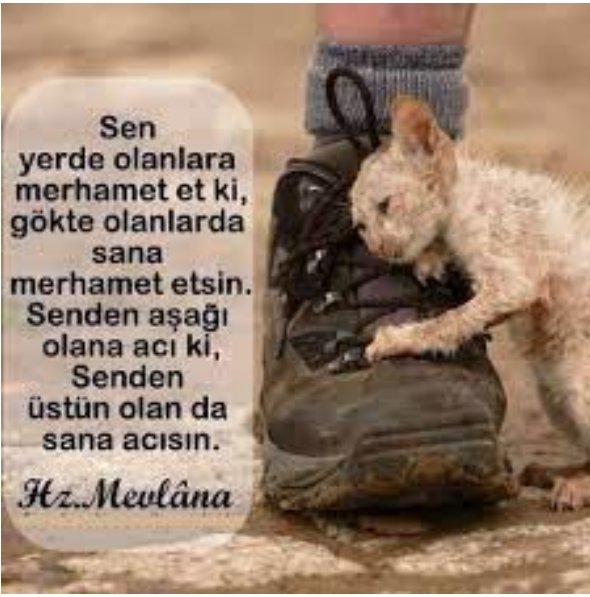 FSimga's tweet photo. Ankara'da asılan masum 17 köpekten 3'ü öldü.
Cenab-ı ALLAH'ın bizlere emaneti olan 
#Çocuklara 
#Tabiata ve 
#PatiCanları'na dokunulmazlık için gerekli müeyyideler için neyi bekliyoruz.
Bu vebal caniler kadar, 
başta #MülkiAmirler olmak üzere tüm duyarsız bireylerin boynunadır! https://t.co/bbMbnopAM5