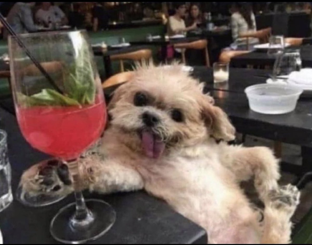 me swearing that second mimosa isn’t hitting
