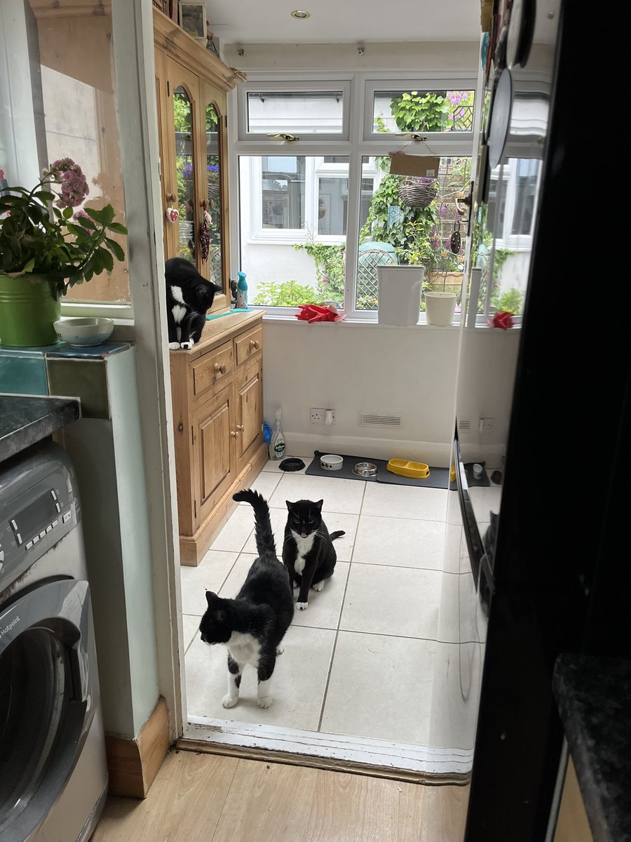 Simon de Cintra tweet media