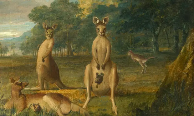 I'm wondering what a kangaroo court would actually look like? This oil painting is one possibility, and as a colonial portrait would be especially well-suited to adorn the walls of an Oxfordshire country house, if no Lulu Lytle wallpaper were at hand... 
theguardian.com/artanddesign/2…