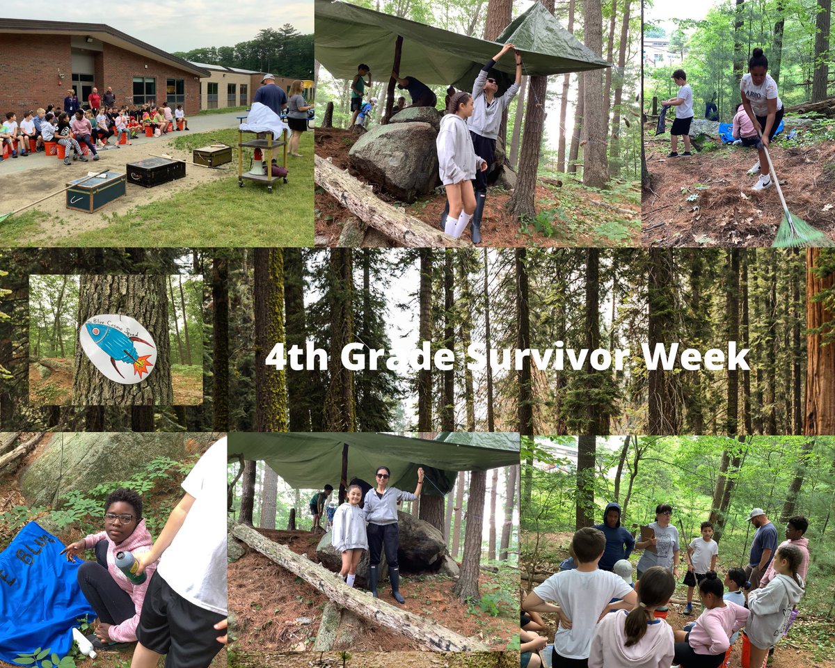 Ms Nikki tweet media