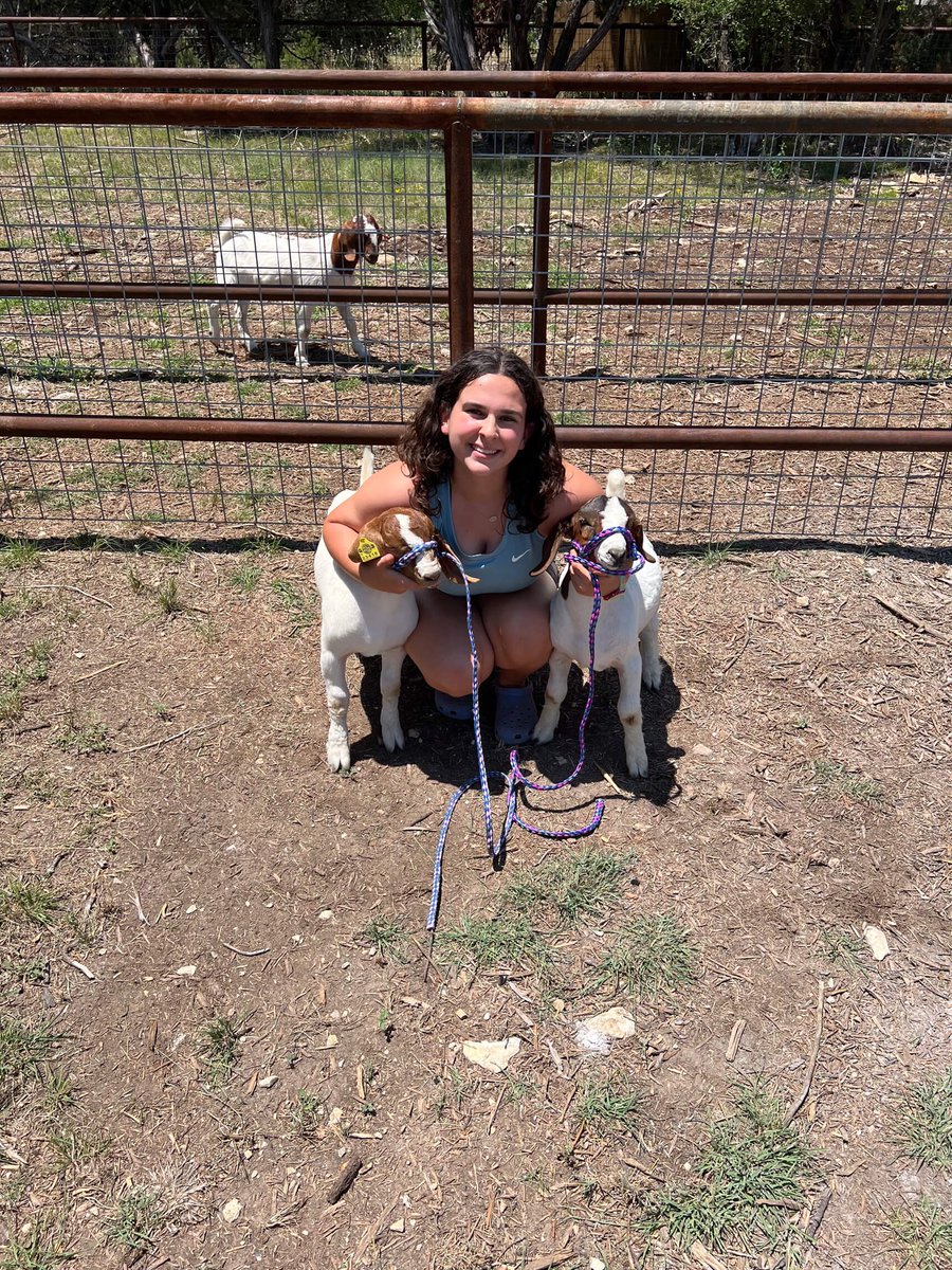 Kyndal Hamons & Reagan Roppolo have received their goat projects for the upcoming show season! Good luck to Kyndal as this is her first year of showing! This will be Reagan’s second year in a row, and she will be showing two! @Mr_B_Johnson @DavinVogler @CTEShrek @GeorgetownISD