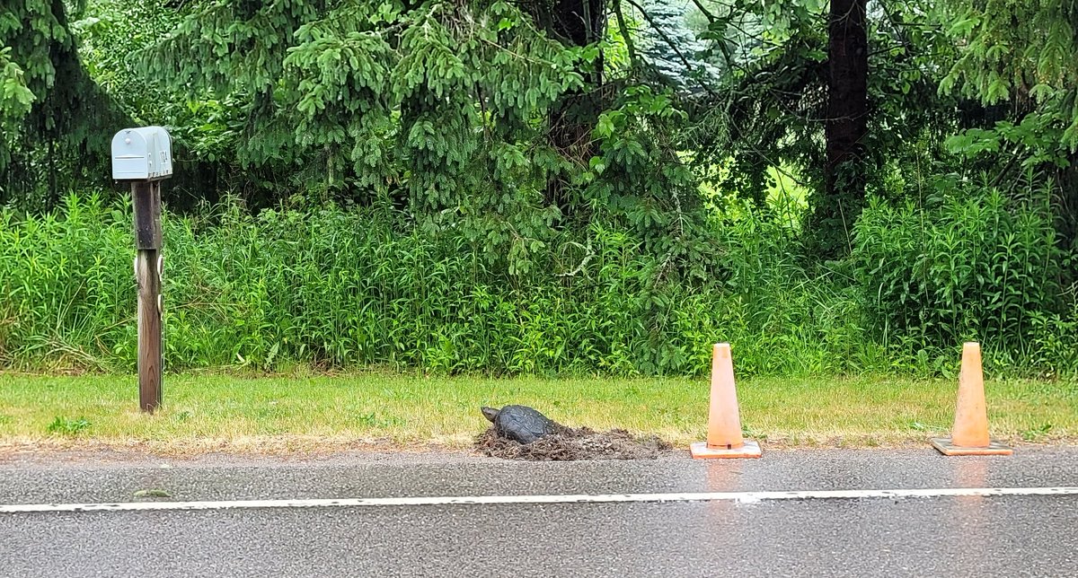 Gregor Beck tweet media