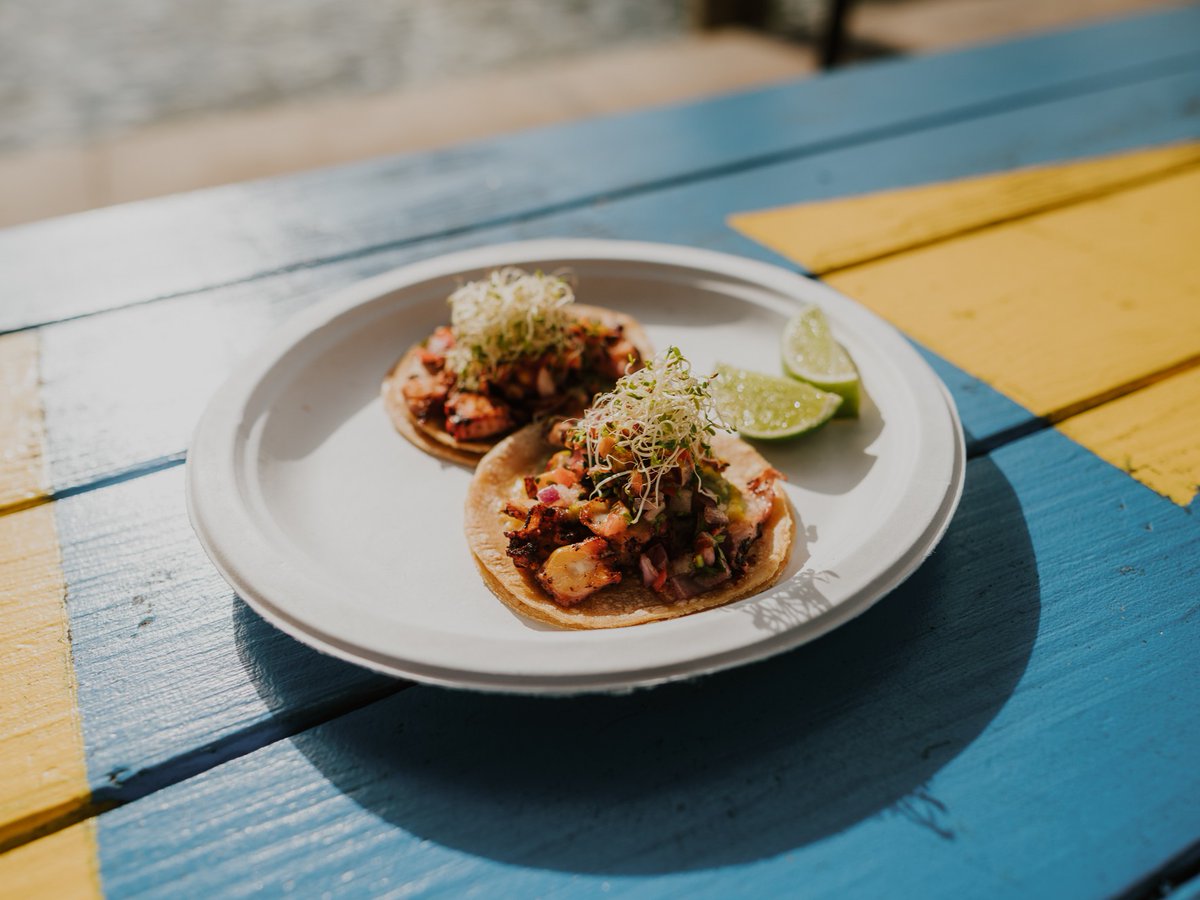 TACO-bout a tasty treat🌮