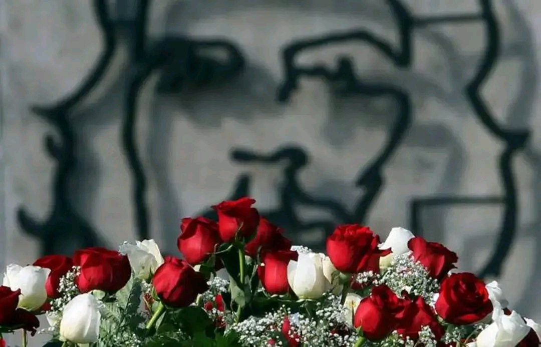 ... “sean capaces de sentir en lo más hondo cualquier injusticia cometida contra cualquiera en cualquier parte del mundo. Es la cualidad más linda de un revolucionario”... 

📸 Ismael Francisco 
#ComoElChe
#DeZurdaTeam