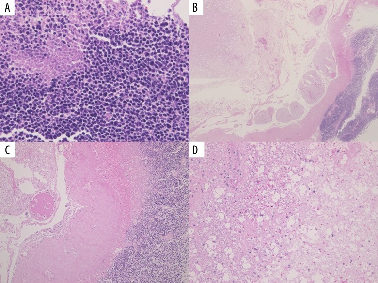 pathobotology tweet media