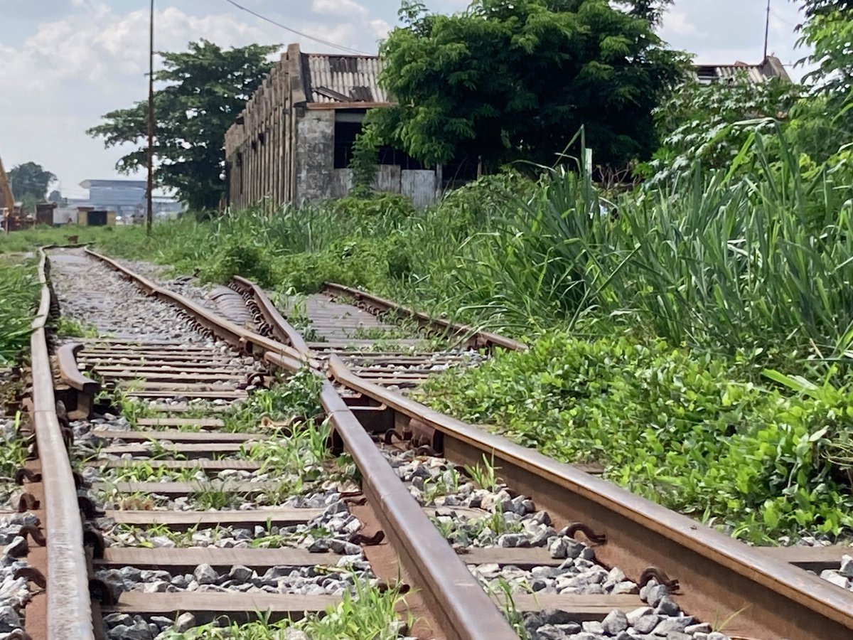 In Lagos, along the old colonial railway corridor.  A good place to begin thinking about infrastructures of extraction, viral traffic, and the history of scientific research on yellow fever. @FragmentsForest @ERC_Research #envhist #histmed