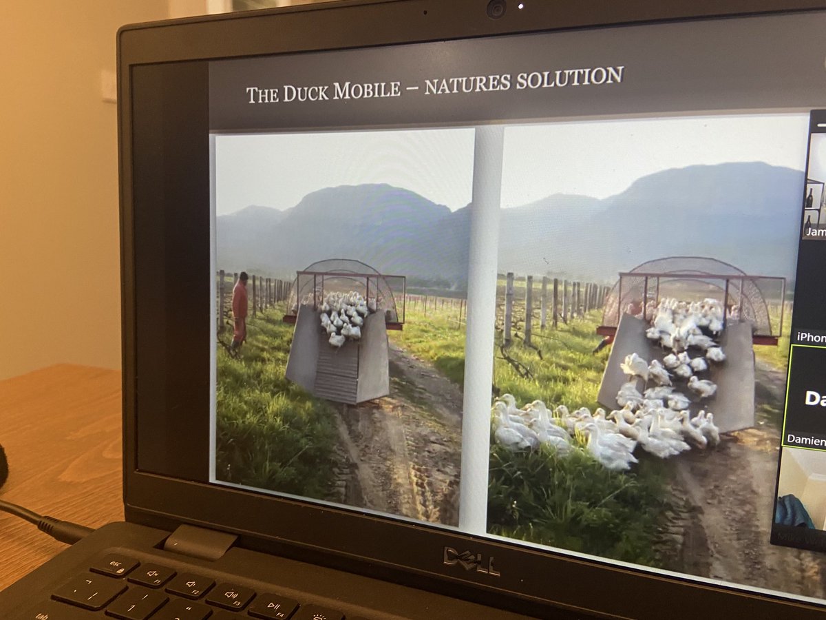 Great tasting this morning with ⁦<a href="/Avondalewine/">Avondale Wine</a>⁩ ⁦<a href="/Tindalwines/">Tindal Wines</a>⁩ loved hearing about the duck mobile #biodynamic#paarl